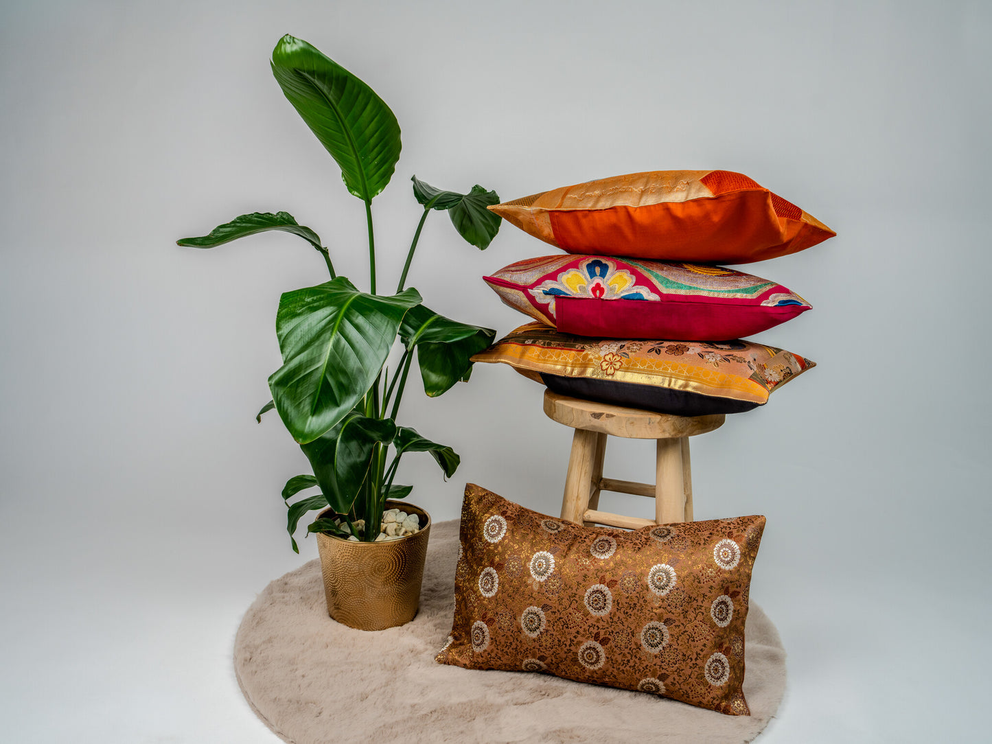 The Copper Kiku Splendor